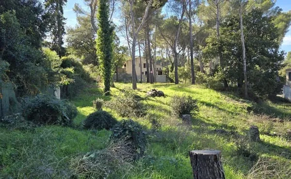 Terrain constructible 740 m²