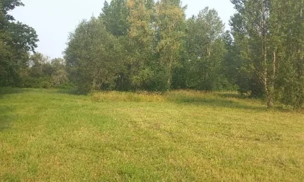 Terrain 1690 m²