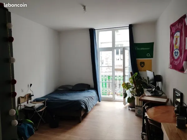 Appartement t1 studio entièrement rénové plein centre ville