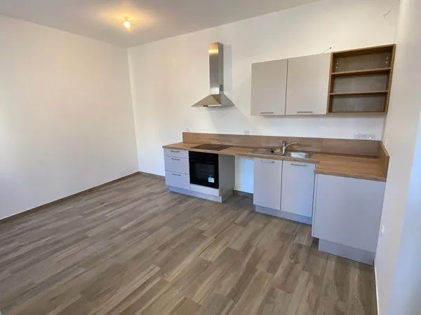 Appartement T2 45 m carré rénové de 2024
