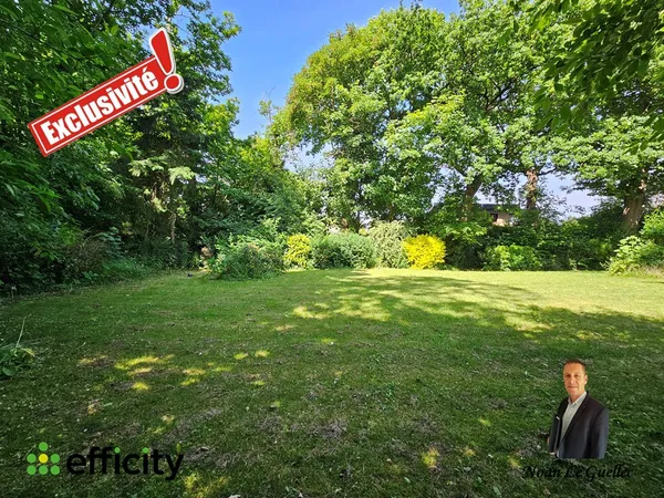 Terrain 504 m²