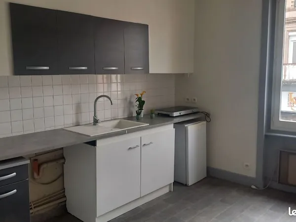 Appartement Location Saint-Étienne 3p 47m² 480€