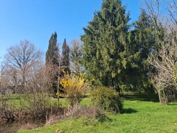 Terrain constructible avec étang