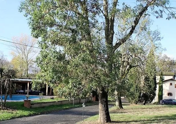 Propriété 20 pièces 450 m²