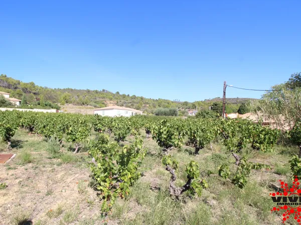 Terrain constructible