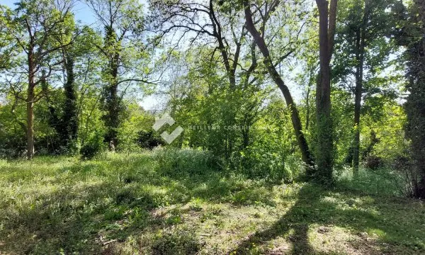 Terrain en individuel 1000 m²