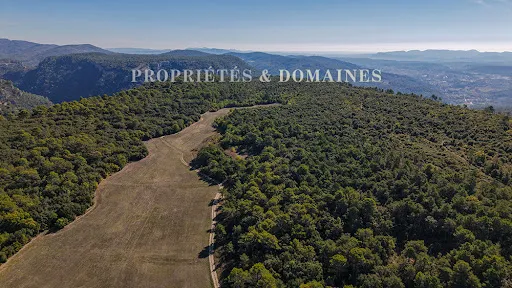 Vignoble 1600000 m²