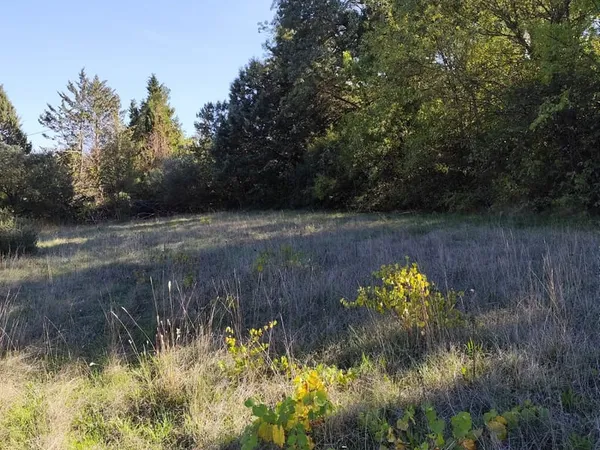 Terrain 1369 m²