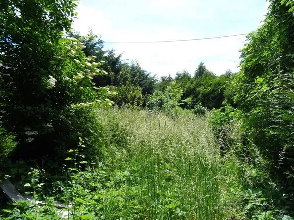 Terrain 698 m²