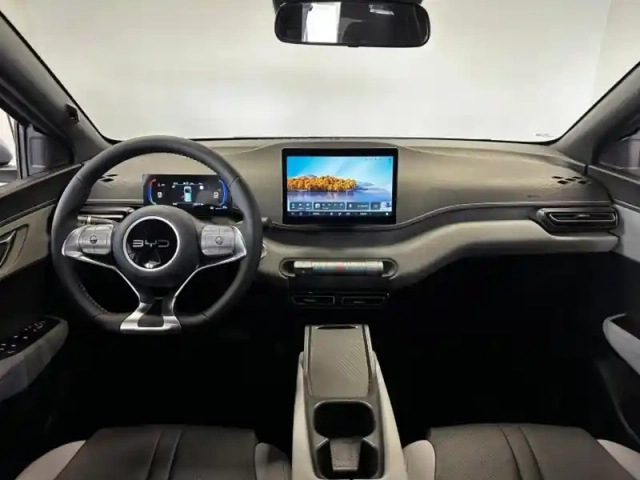 Byd Dolphin Surf 88ch - 43,2 kwh boost — photo 7