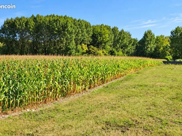 Terrain 574 m² Distre