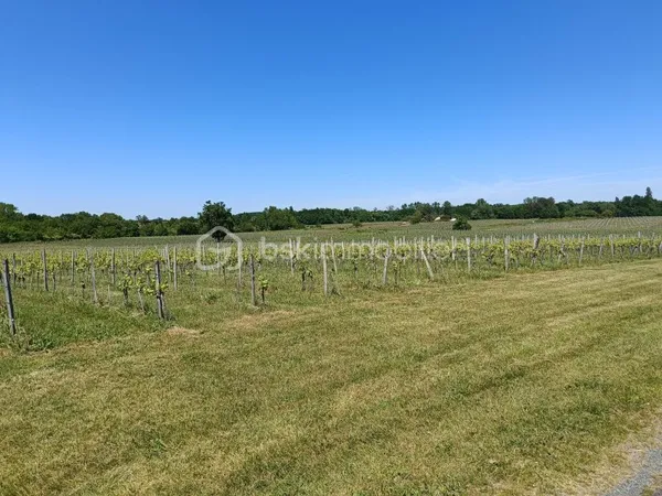 Terrain 237900 m²