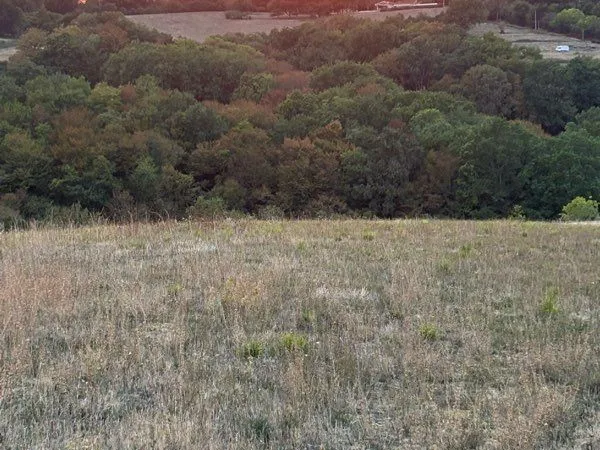 Terrain agricole