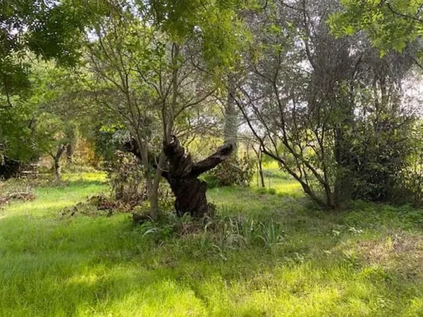 Terrain 800 m²