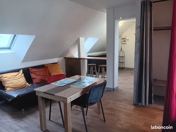 Appartement 30 m2 centre ville