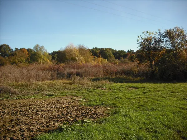 TERRE AGRICOLE, ancien verger, Nord SEINE ET MARNE A LOUER