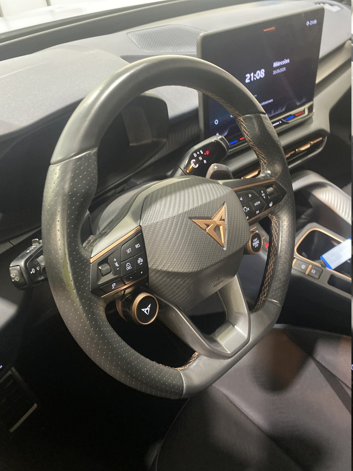 Cupra Terramar — photo 54