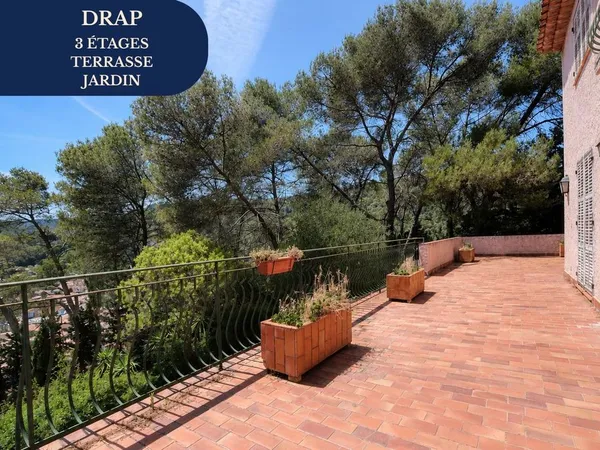 Villa 7 pièces 246 m²