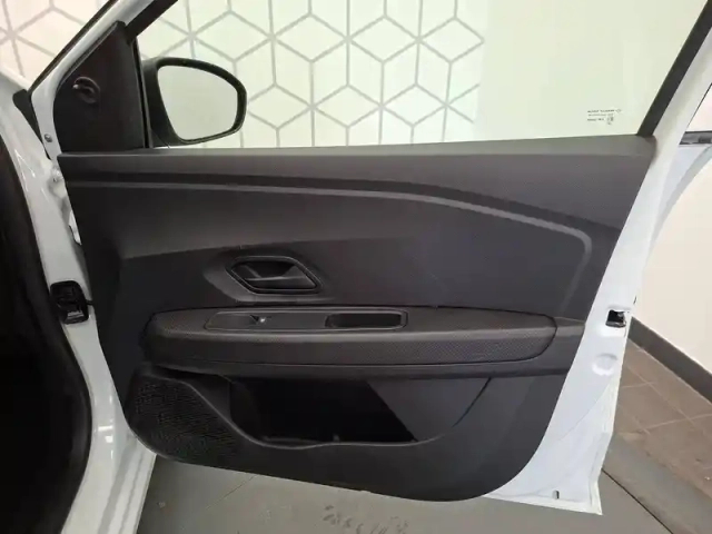 Dacia Sandero eco-g 100 — photo 20