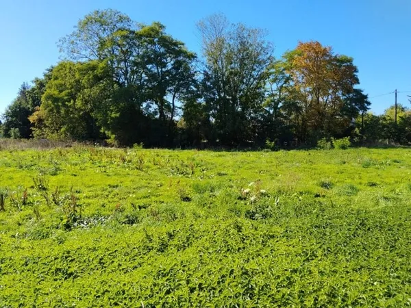 Terrain 1103 m²