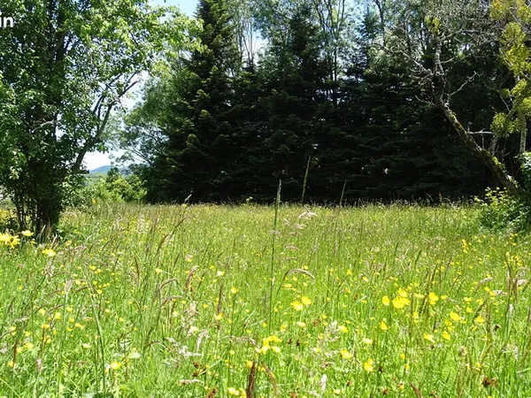 Terrain 1917 m² LAVELANET