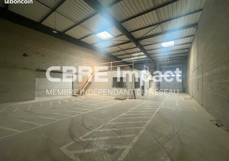 Photo 5