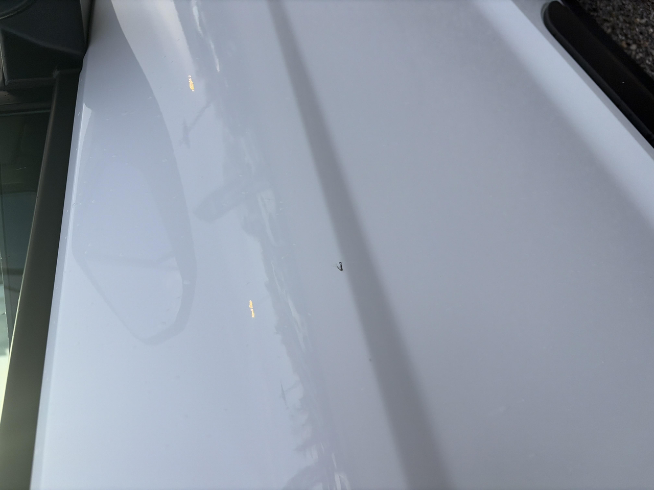 Ford TRANSIT CONNECT FGN L1 1.0E100 E85 S&amp;S — photo 19