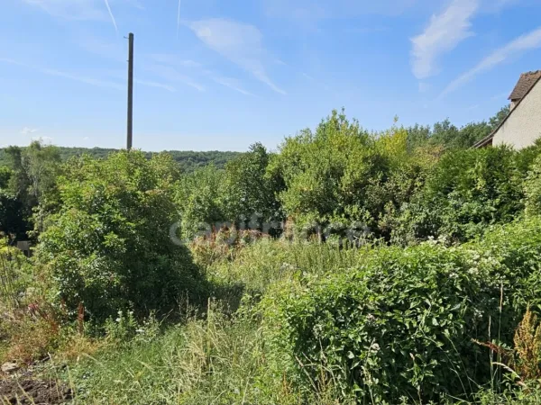 Terrain 978 m²