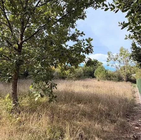 Terrain 1267 m²