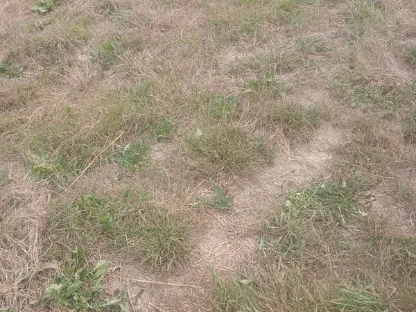 Vendre terrain à bâtir