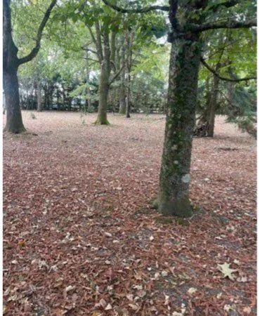 Terrain constructible