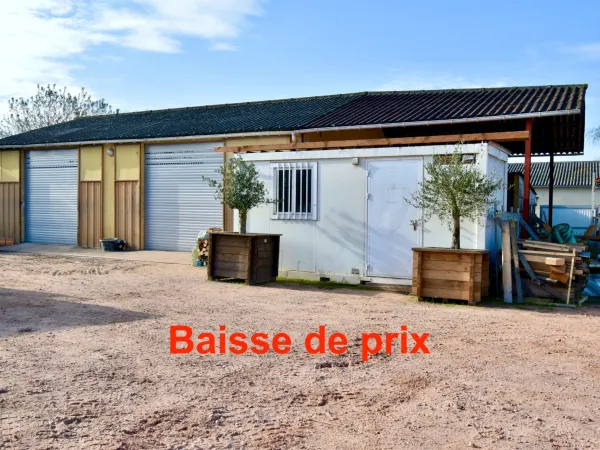 Commerce 5 pièces 267 m²