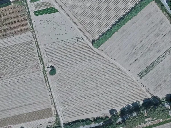 Terre agricole + casot en dur (eau + électricité)