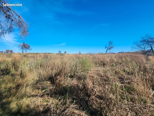 Terrain agricole 2300m2