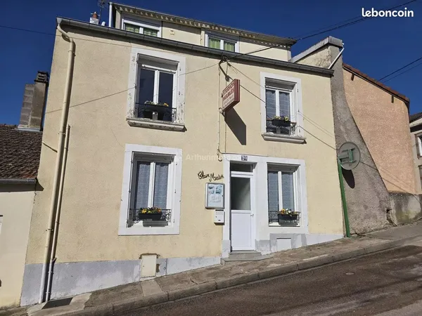 Bien immobilier de rendement Vente Bourbonne-les-Bains   265000€