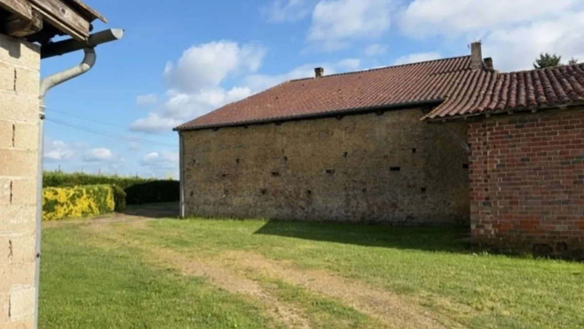 Photo 41