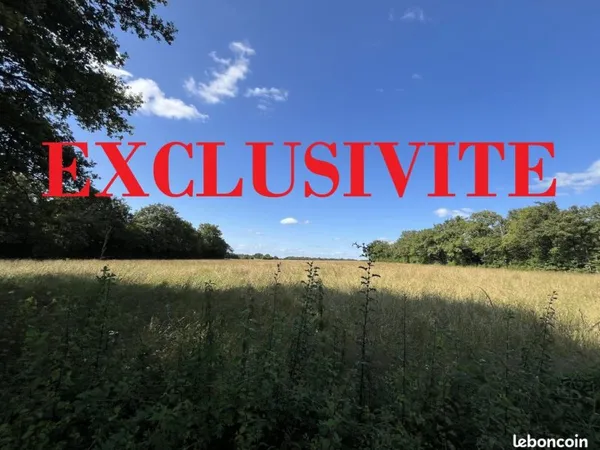 Terrain 17894 m² Mouhet