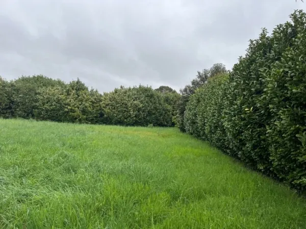 Terrain 555 m²