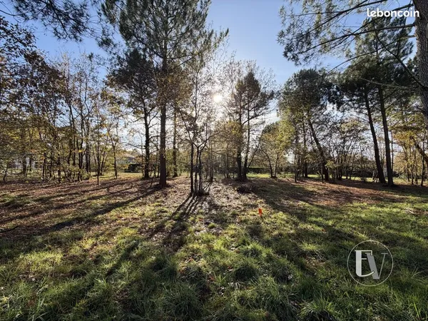 Terrain 800 m² Gujan-Mestras