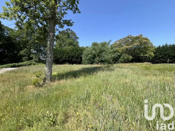 Terrain 1007 m²
