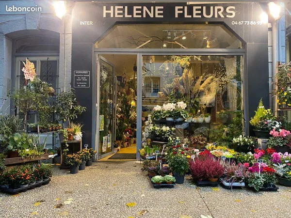 Commerce Vente Ganges  100m² 150000€