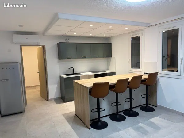 Appartement entièrement rénover - lumineux - cuisine équipée - climatisation - grande loggia