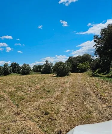 Location de parcelle de jardin - Cultivez votre propre potager 🌱