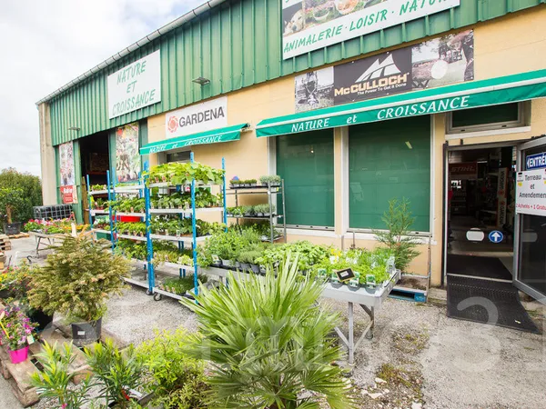 local commercial et stockage, appartement et garages