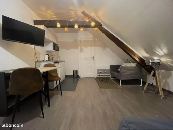 Studio meublé - 21 m2 - Rue du Docteur Thomas