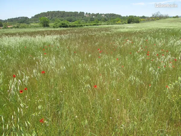 A vendre terrain agricole