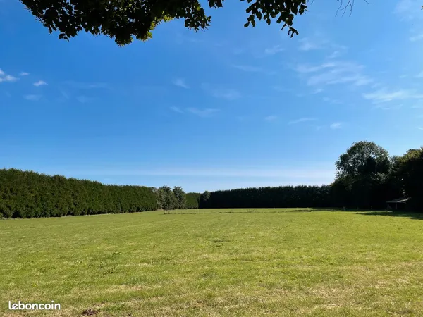 Prairie pour chevaux 100/ cheval