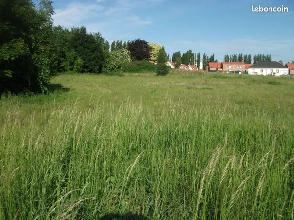 Terrain 445 m² Boeschepe
