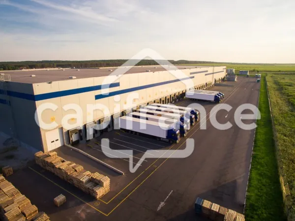 Local 1 pièce 2000 m²