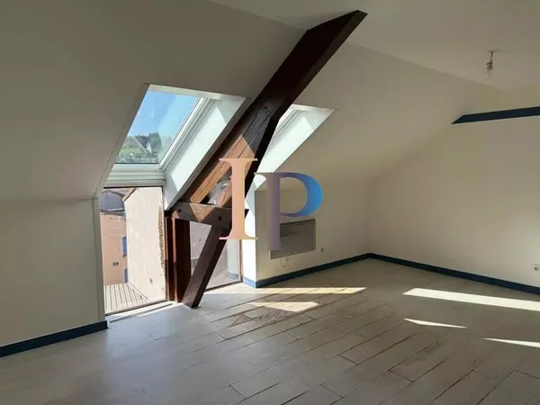 APPARTEMENT CENTRE-VILLE